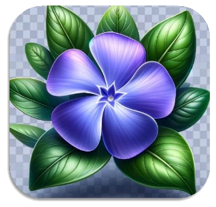 C:\Users\Наталочка\Desktop\DALL·E 2024-03-18 19.24.07 - Design a highly realistic icon of a natural periwinkle flower, emphasizing the true-to-life details of its lush green leaves and vibrant blue or viole.png